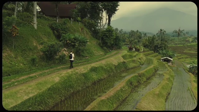 A person walking through a lush green rice paddy field, illustrating an "artist date" or nature walk.