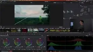 Hyo Trim DCTL curve for refined highlight compression