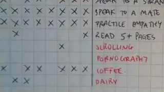The habit tracker page showing both good habits (top) and bad habits (bottom) being marked with crosses.