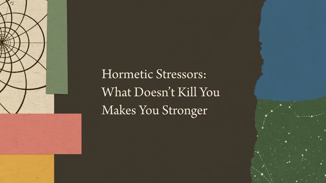 Text on screen: "Hormetic Stressors: What Doesn't Kill You Makes You Stronger"