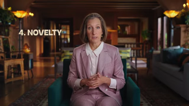 Text on screen: "4. NOVELTY"