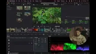 Using the HSL curves to adjust the green hues in the plant image