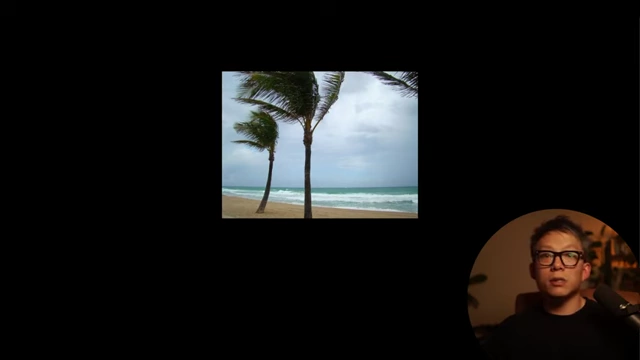 Flexible palm trees swaying in the wind, illustrating the concept of adaptable routines