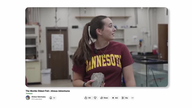 A student working in a lab, from an "Alveus Adventures" YouTube video.