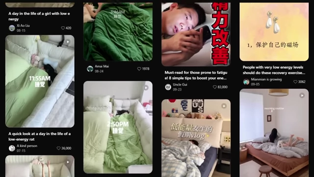 A collage of social media posts showcasing the widespread 'low-energy rat people' vlogs.