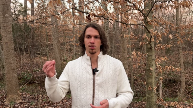 Speaker gesturing, emphasizing that learning a skill requires action, not just observing.