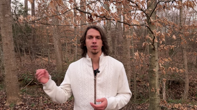 Speaker gesturing, illustrating the concept of identifying and fixing "bottlenecks."