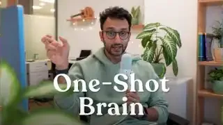 One-Shot Brain