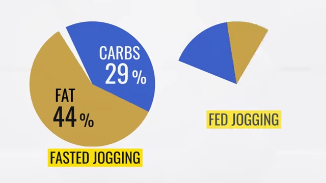 Comparison of fat and carb burn percentages during fasted vs. fed jogging