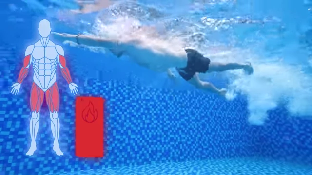 Diagram highlighting major muscle groups activated during swimming