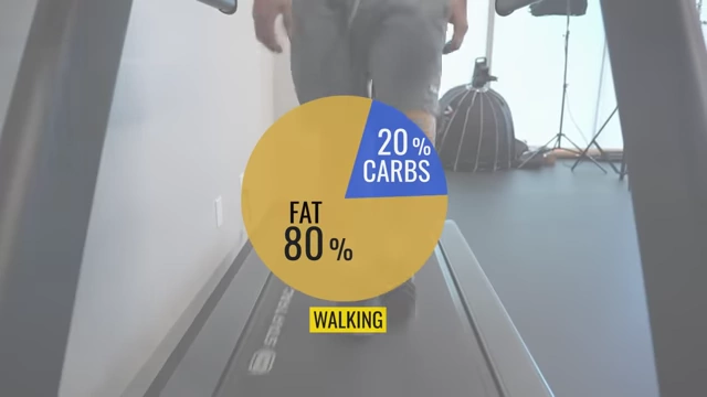 High percentage (80%) of calories burned from fat during walking