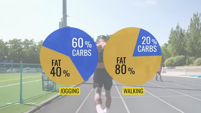 Comparison of fat and carb burn percentages for jogging vs. walking
