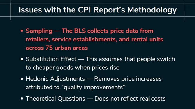 A summary of the core issues identified with the CPI report's methodology, including sampling, the substitution effect, hedonic adjustments, and theoretical questions.