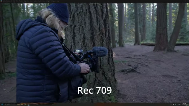 Original Rec 709 footage showing a cool color cast