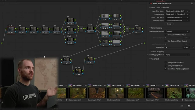 Completed Node Tree in DaVinci Resolve