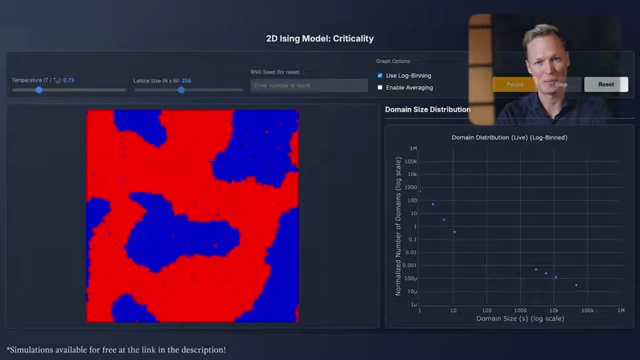 2D Ising model simulation showing magnetic domains and a live log-binned domain size distribution plot