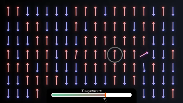 Animation illustrating a single magnetic moment flip cascading through the system at the critical point