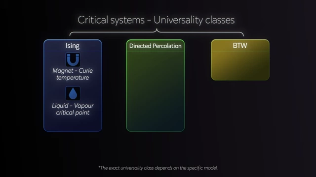 Diagram introducing critical systems and universality classes