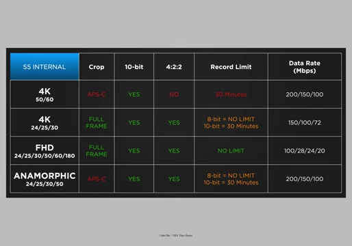 Table detailing Panasonic S5 internal recording modes and limits.