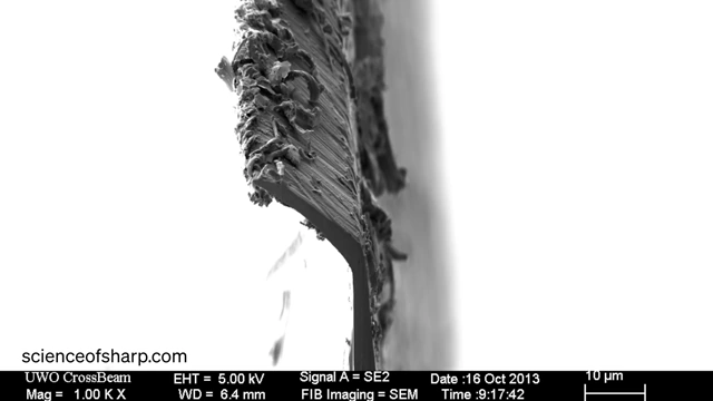 A microscopic view of a burr on a knife's edge, indicating metal has been displaced