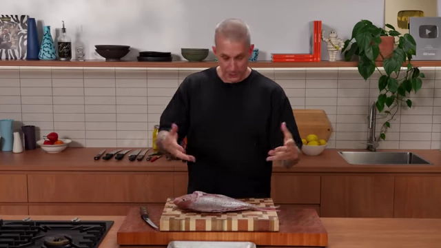 A whole snapper fish rests on a cutting board, prepared for filleting