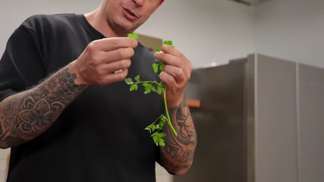 A close-up of a parsley sprig, illustrating the preferred method of picking leaves with minimal stalk