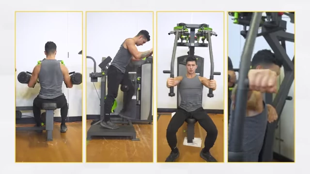 Custom-built machines provided by Prime Fitness USA for various exercises like lateral raises, hip extensions, pec flyes, and reverse flyes.