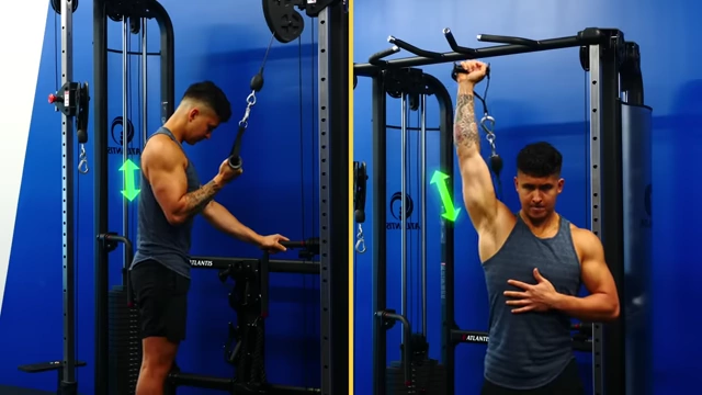 Comparison of tricep exercises showing how overhead extensions provide a greater degree of stretch for the triceps compared to tricep pushdowns.