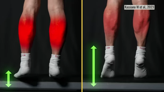 Comparison of half-reps focused on the stretched position versus full range of motion reps for calf raises, showing greater growth from the stretch-focused half-reps.