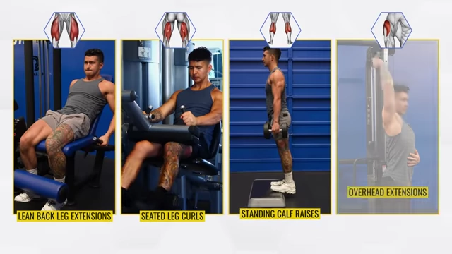 A grid displaying recommended exercises that maximize stretch for bi-articulate muscles: lean-back leg extensions, seated leg curls, standing calf raises, and overhead triceps extensions.