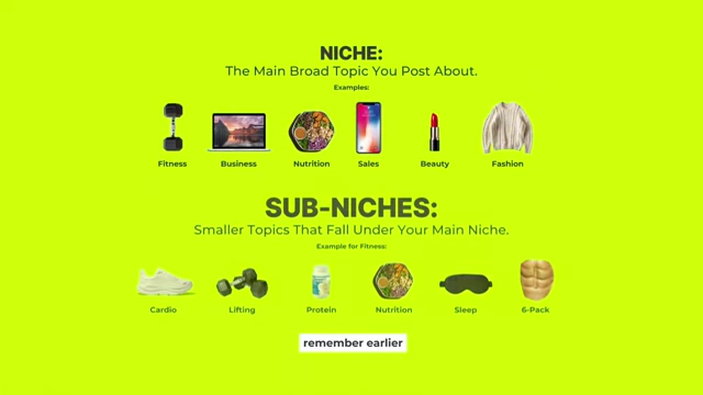 Diagram illustrating the relationship between a broad niche and its specific sub-niches