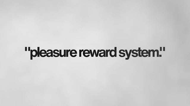 Text overlay reading ""pleasure reward system.""