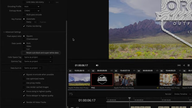 DaVinci Resolve Advanced Video Settings