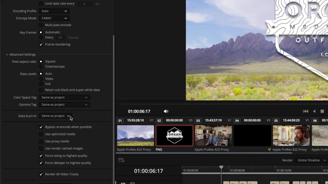 Data Burn-In Option in DaVinci Resolve