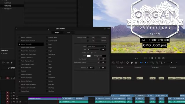 DaVinci Resolve Data Burn-In Settings Panel