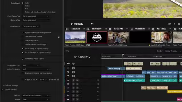 DaVinci Resolve Advanced Rendering Options