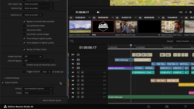DaVinci Resolve Subtitle Export Settings
