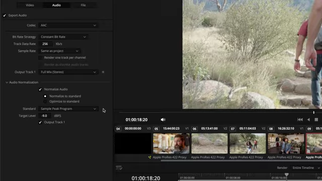 Audio Normalization Settings in DaVinci Resolve