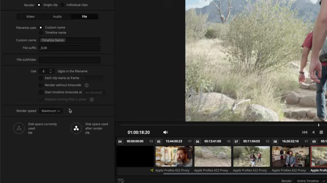 Render Speed Option (Maximum or Slower)
