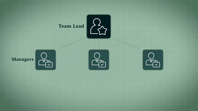 Organizational structure with a team lead, managers, and team members