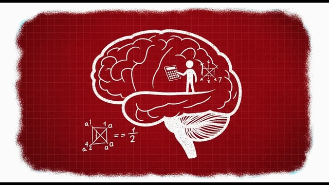 A brain with a small person inside, holding a calculator and surrounded by math, symbolizing the prefrontal cortex's role in planning and decision-making.