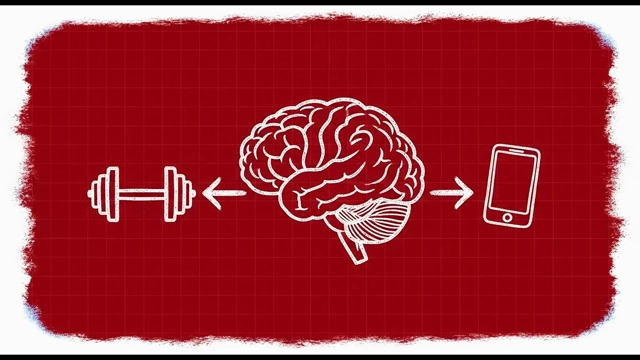 A brain with arrows pointing towards a dumbbell and a smartphone, showing the two opposing directions the brain can be wired.