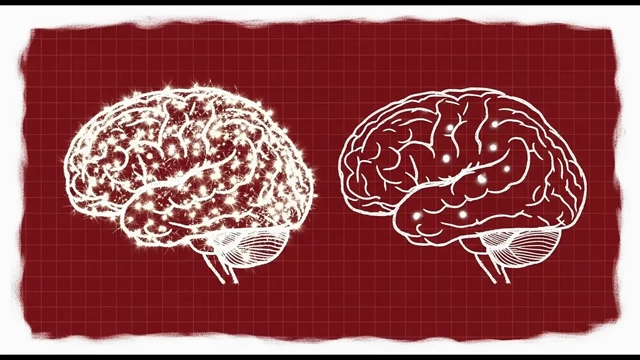 Two brains, one sparkling with excessive neural activity and the other calm, illustrating the effect of a dopamine detox on brain function.