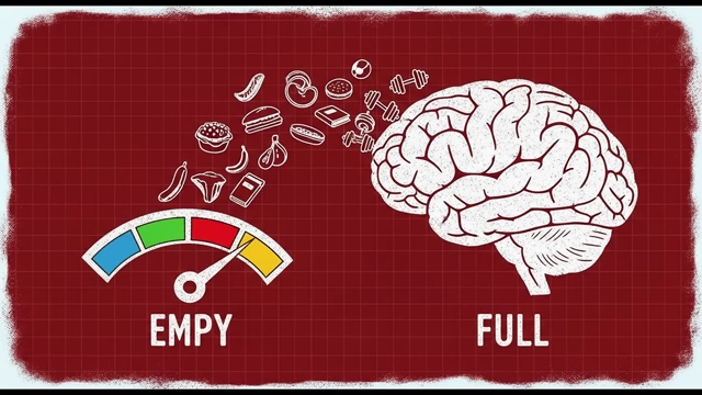 A brain being filled with various inputs, contrasting 'empty' fast food with 'full' healthy foods and productive activities on a gauge.