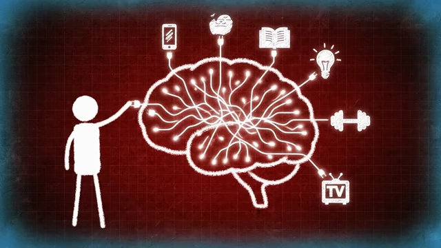 A person plugging various cables into a brain, connecting it to a phone, book, TV, ideas, and weights, illustrating different sources of stimulation.