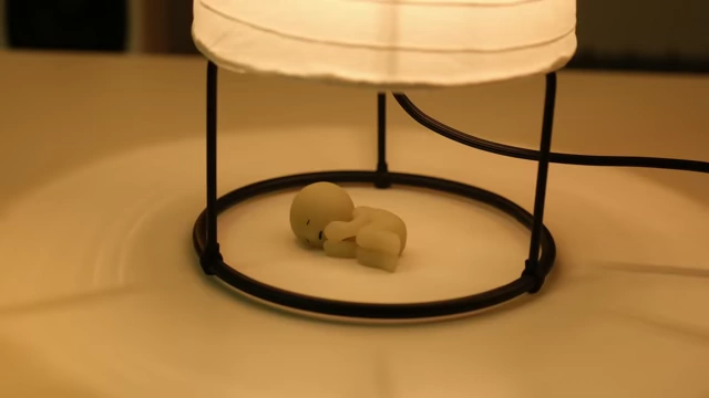 A close-up view of the STRANDAD lamp's base, showing it can be removed