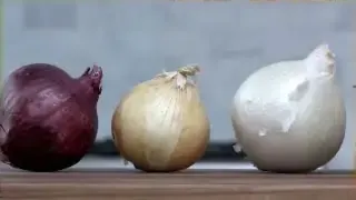 different types of onions used for this experiment