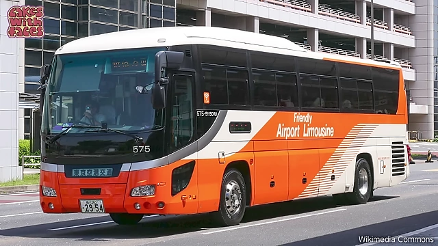 Airport Limousine Bus