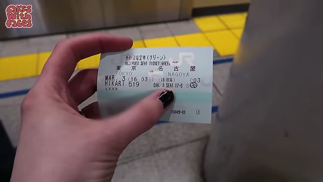 Shinkansen seat reservation card indicating train number, carriage, and seat