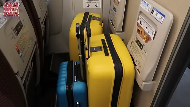 Dedicated luggage space at the end of a Shinkansen carriage